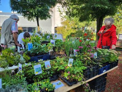 Foto: Frivilligcenter Hillerød / Haveselskabet